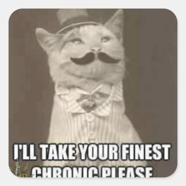 Cuadrada pegatina de gatos sofisticados (Anverso)