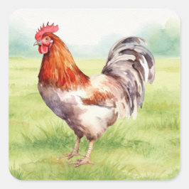 Cuadrada Pegatina de granja de pollos