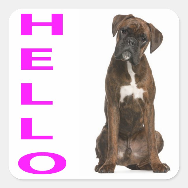 Cuadrada Pegatina de Hello / Hi Boxer Puppy Dog Purple Gree (Anverso)