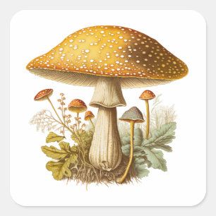 Cuadrada Pegatina de hongo botánico vintage 1