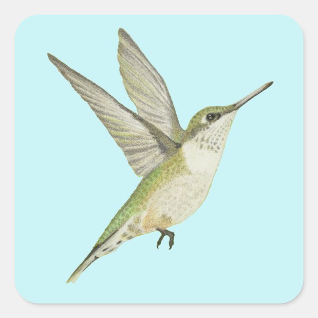 Cuadrada Pegatina de Hummingbird Square (Anverso)