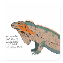 Pegatina de Iguana de Roca de San Salvador
