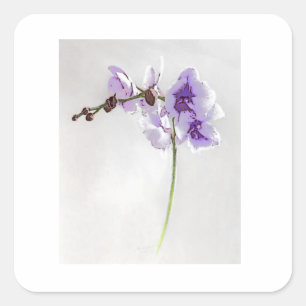 CUADRADA PEGATINA DE IMPRESIÓN BLOSSOM