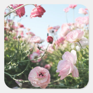 Cuadrada Pegatina de jardín de flores rosadas