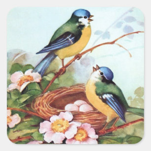 Cuadrada Pegatina de la jerarquía de los Bluebirds de la