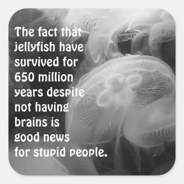 Cuadrada Pegatina de la medusa (Anverso)