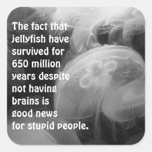 Cuadrada Pegatina de la medusa