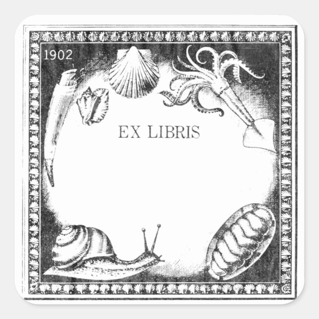 Cuadrada Pegatina de la placa de biblioteca de las criatura (Anverso)