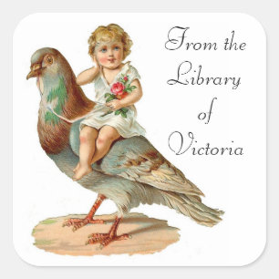 Cuadrada Pegatina de la placa de desplazamiento de tortuga