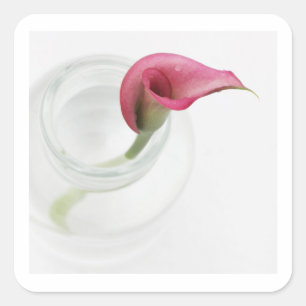 Cuadrada Pegatina de la plaza Calla