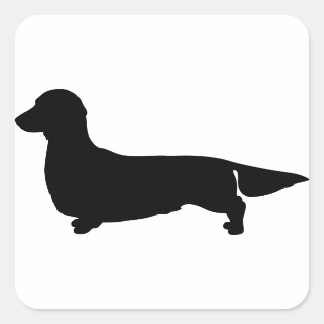Cuadrada Pegatina de la plaza Long Hair Dachshund (Anverso)
