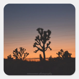 Cuadrada Pegatina de la plaza Sunset Joshua Trees