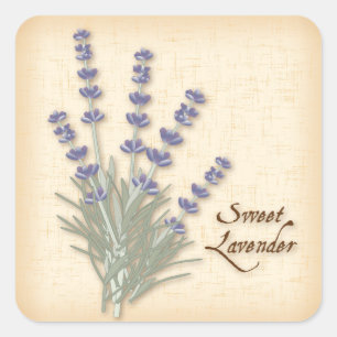 Cuadrada Pegatina de la plaza Sweet Lavender