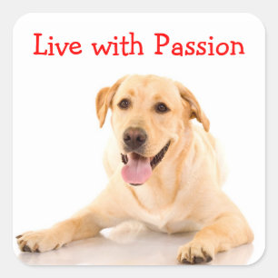 Cuadrada Pegatina de Labrador Retriever Perro Vive con Pasi