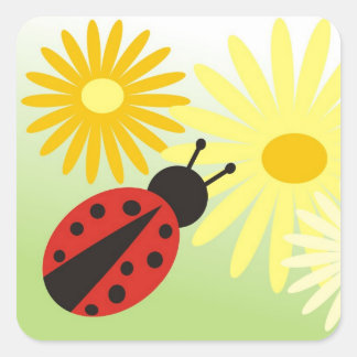 Cuadrada pegatina de ladybird