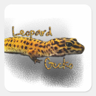 Cuadrada Pegatina de Leopard Gecko