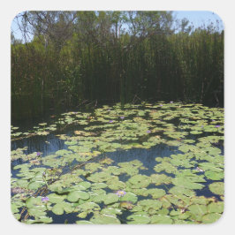 Cuadrada Pegatina de Lily Pads de Salida
