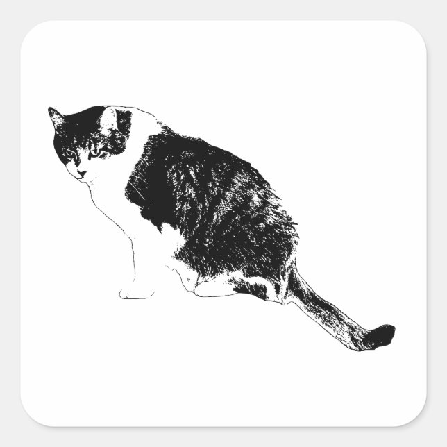Cuadrada Pegatina de línea de gato afilado añade actitud en (Anverso)