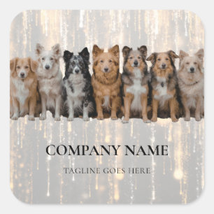 Cuadrada Pegatina de logotipo de paseador de perros moderno
