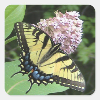 Cuadrada Pegatina de mariposa amarilla