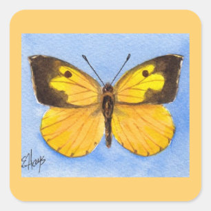 Cuadrada Pegatina de mariposa dogmática de California