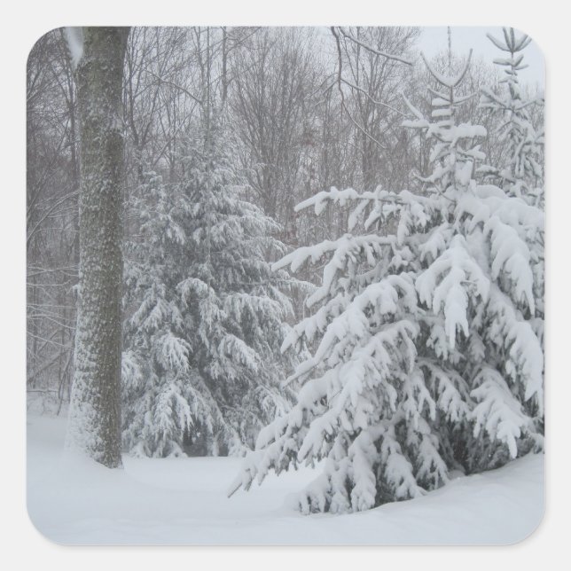 Cuadrada Pegatina De Nieve En Nueva Inglaterra (Anverso)
