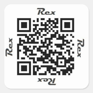 Cuadrada Pegatina de NOMBRE personalizado de código QR Rex