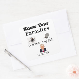 Cuadrada Pegatina de parásitos