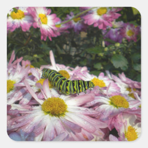 Cuadrada Pegatina de Paseo por Caterpillar