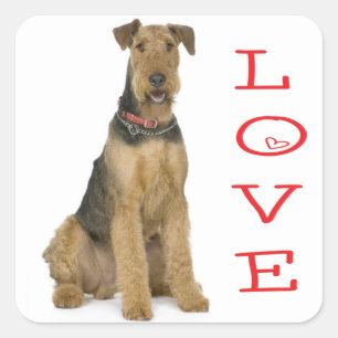 Cuadrada Pegatina de perro cachorro Airedale Terrier de amo