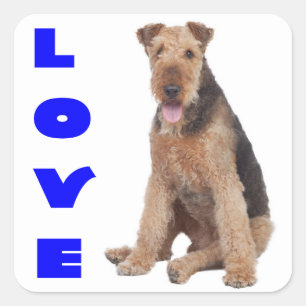 Cuadrada Pegatina de perro cachorro Airedale Terrier de amo