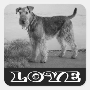 Cuadrada Pegatina de perro cachorro Airedale Terrier de amo