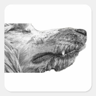 Cuadrada Pegatina de Perro Durmiendo – Estado de Ánimo Tran