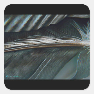 Cuadrada pegatina de plumas