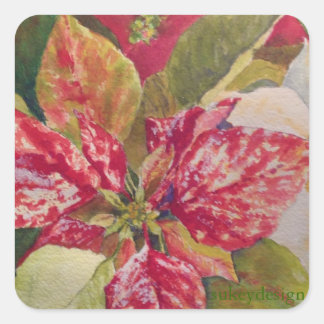 Cuadrada Pegatina de Poinsettia variada