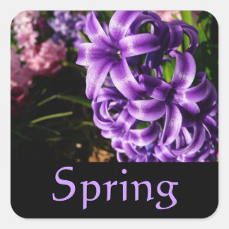 Cuadrada Pegatina de Primavera de Hyacinth Azul