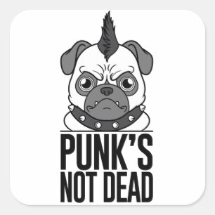 Cuadrada Pegatina de Pug no muerto del punk