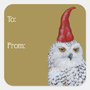Cuadrada pegatina de regalo de Owl Gnome