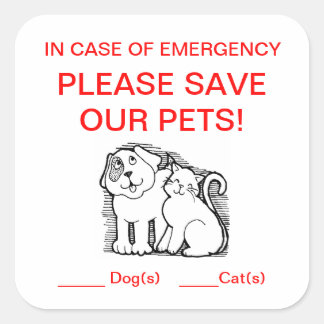 Cuadrada Pegatina de Rescate mascota