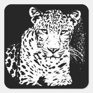 Cuadrada Pegatina De Retrato Blanco Y Negro De Leopardo