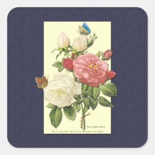 Cuadrada Pegatina de Rosas botánicos de color rosa blanco