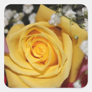 Cuadrada Pegatina de Rose Petal amarillo