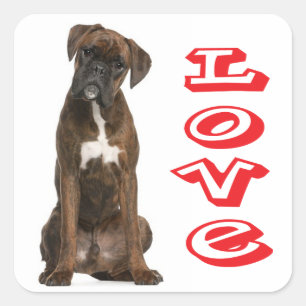 Cuadrada Pegatina de saludo de cachorro de boxer amoroso