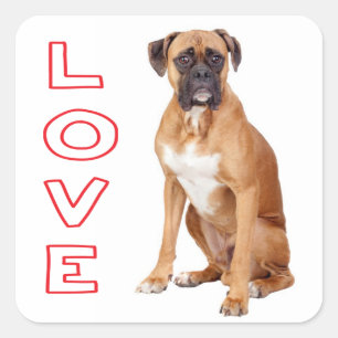 Cuadrada Pegatina de saludo de cachorro de boxer de amor