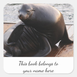 Cuadrada Pegatina de Sea Lion "Este libro le pertenece"