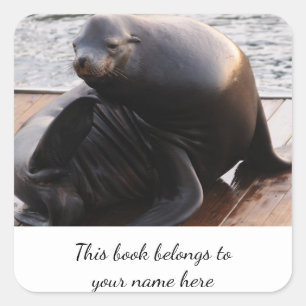 Cuadrada Pegatina de Sea Lion "Este libro le pertenece"