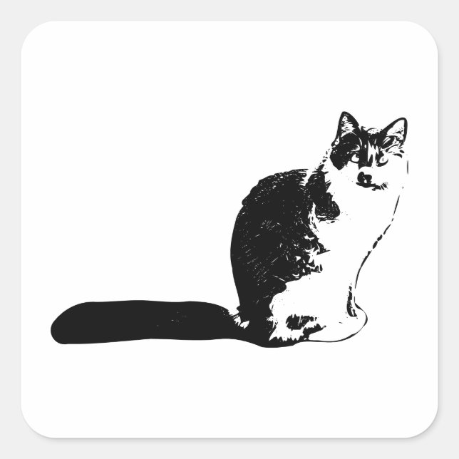 Cuadrada Pegatina de silueta de gato de larga data (Anverso)