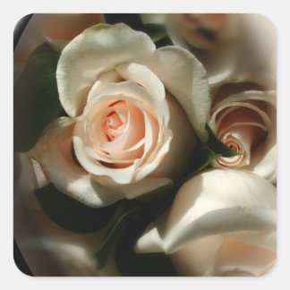 Cuadrada Pegatina de sobres Rosa suave