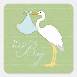 Cuadrada Pegatina de Stork Boy Square