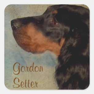 Cuadrada Pegatina de Sweet Gordon Setter